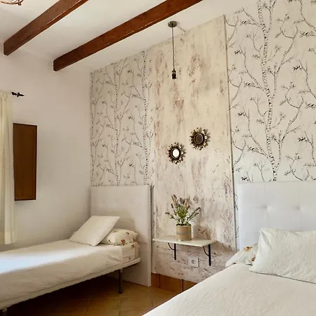 Tenike بلايا بلانكا